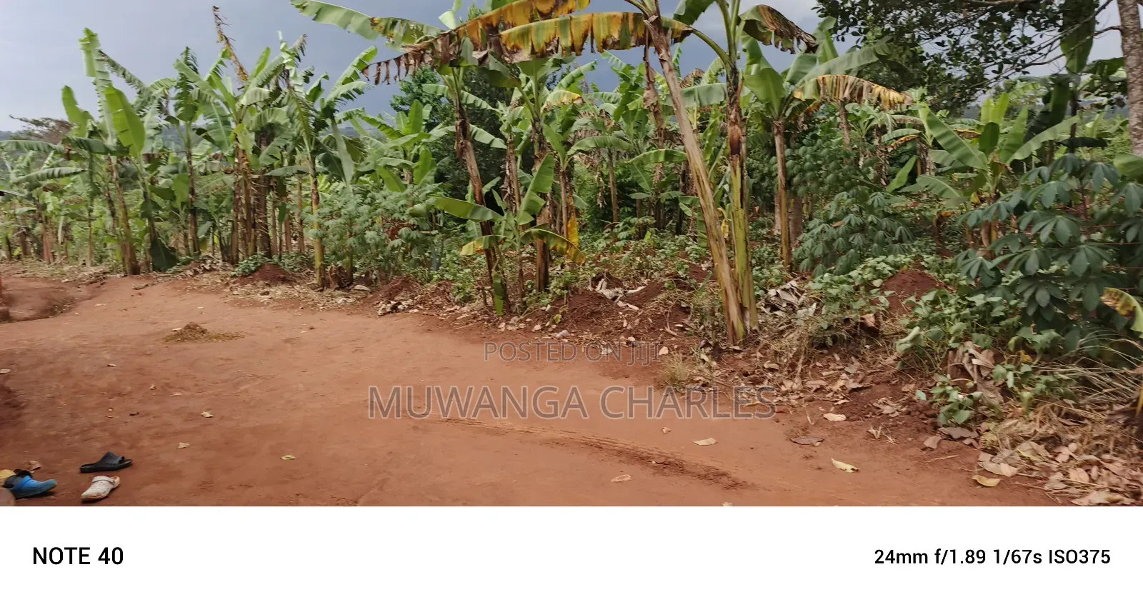 50decimals of Land for Sale in Gayaza Makenke in Nangabo