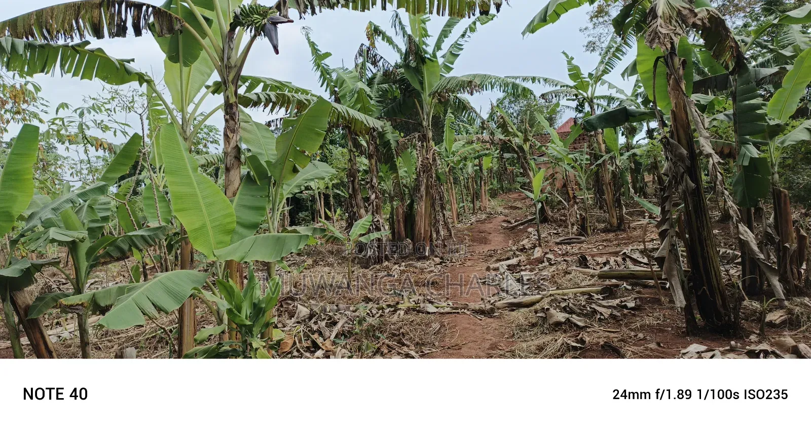 Plot for Sale in Kasangati in Wakiso / Wakiso