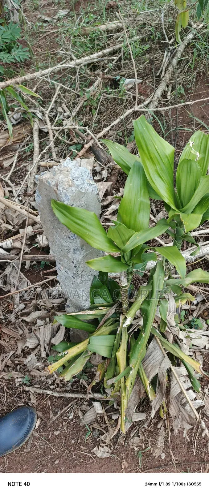 Plot for Sale in Kasangati in Wakiso / Wakiso