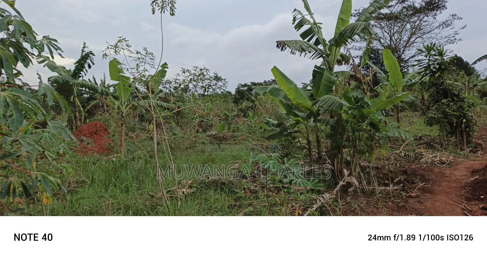 Plot for Sale in Kasangati in Wakiso / Wakiso