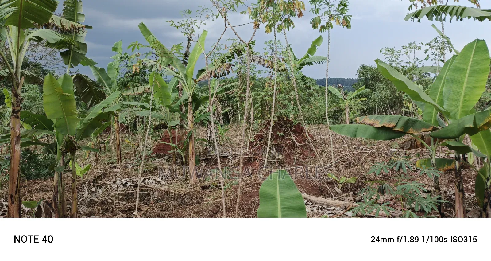 Plot for Sale in Kasangati in Wakiso / Wakiso