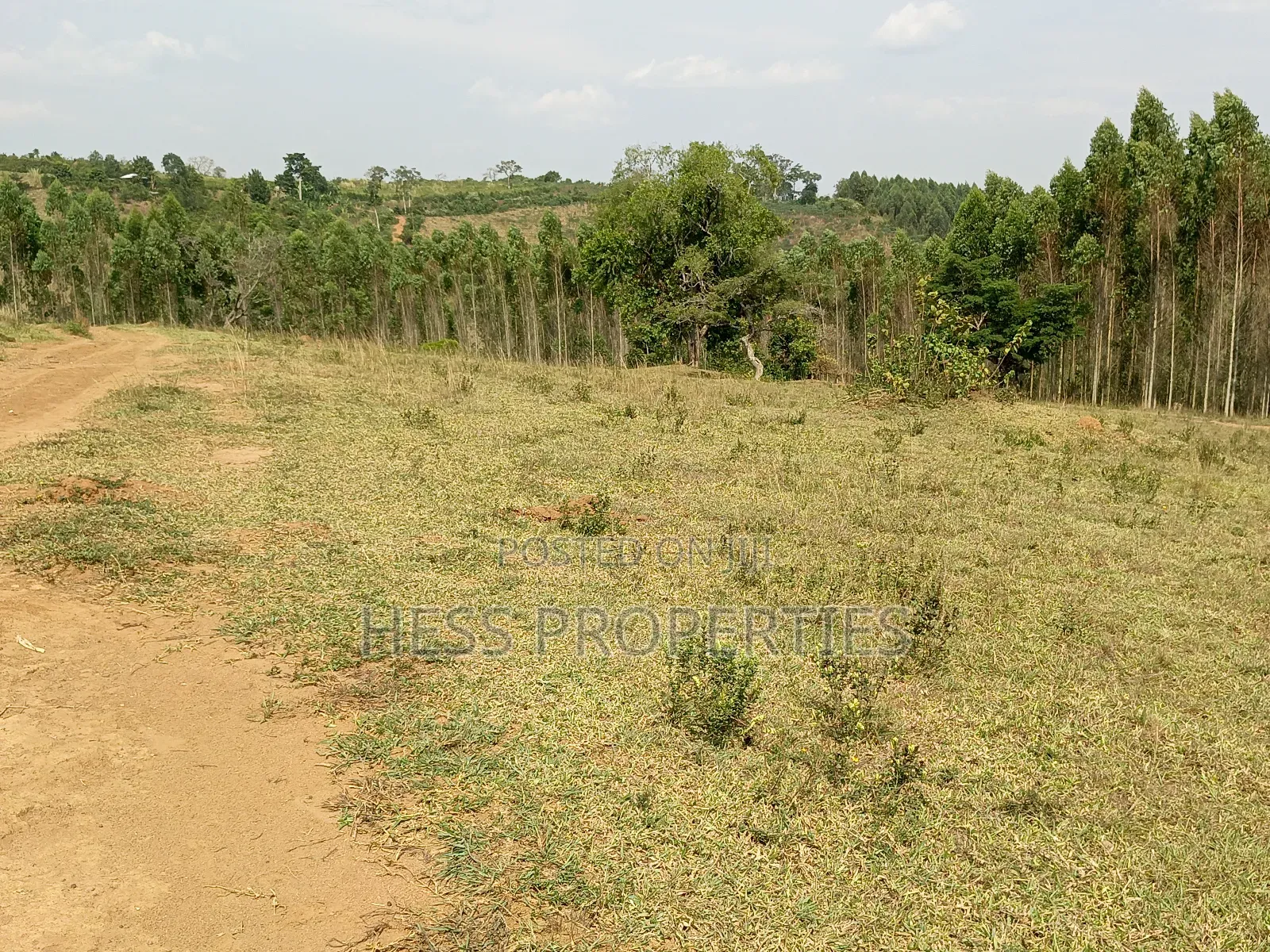 Plots on Sale in Kyenjojo