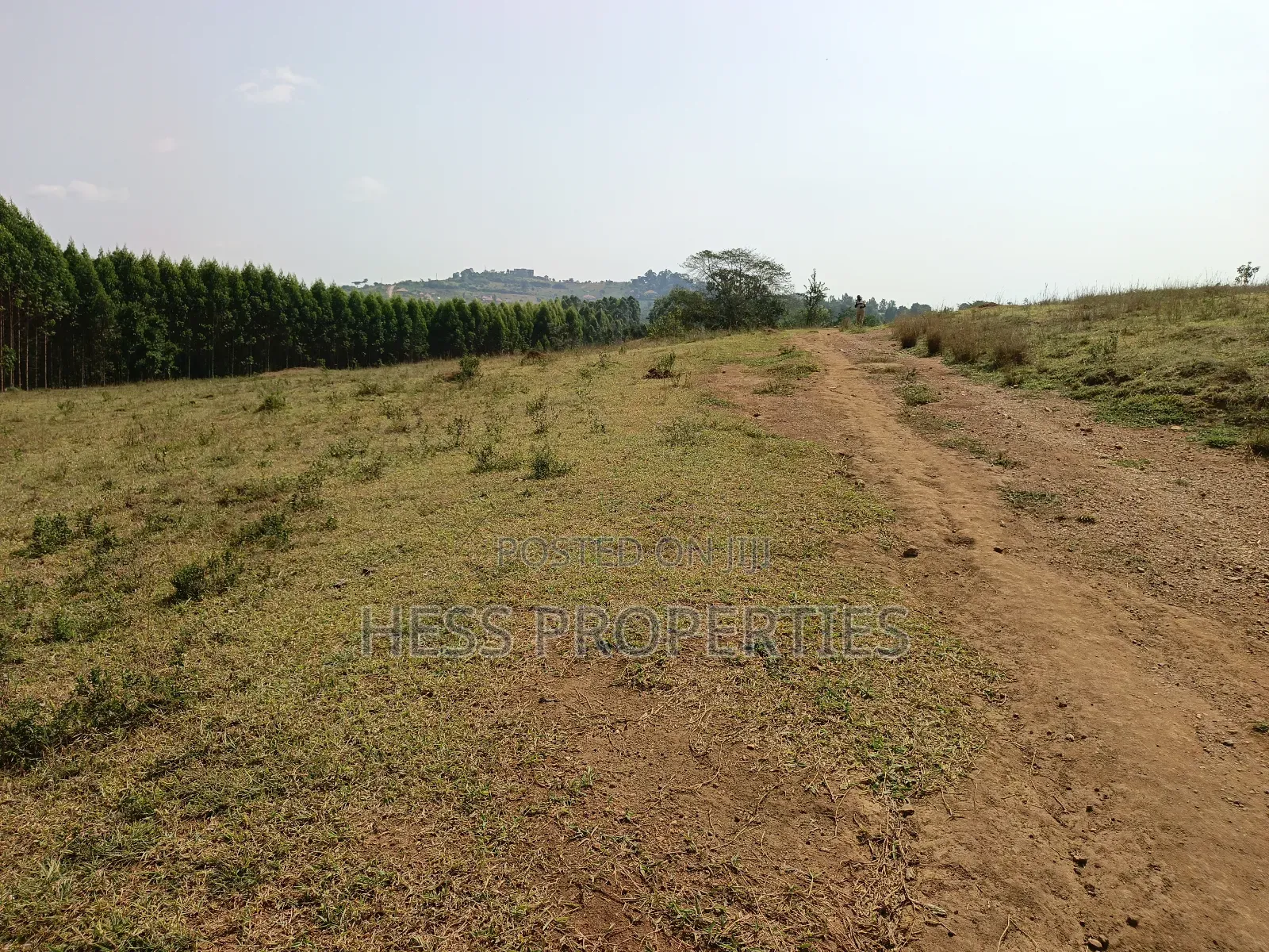 Plots on Sale in Kyenjojo