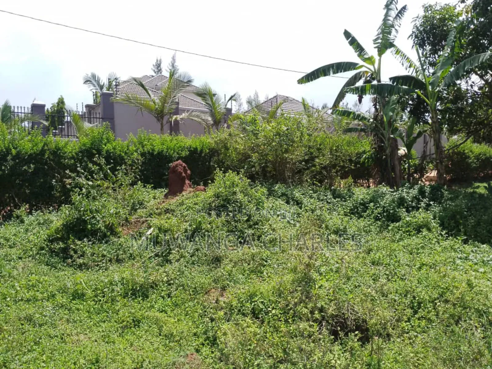 Plot for Sale in Gayaza in Nangabo