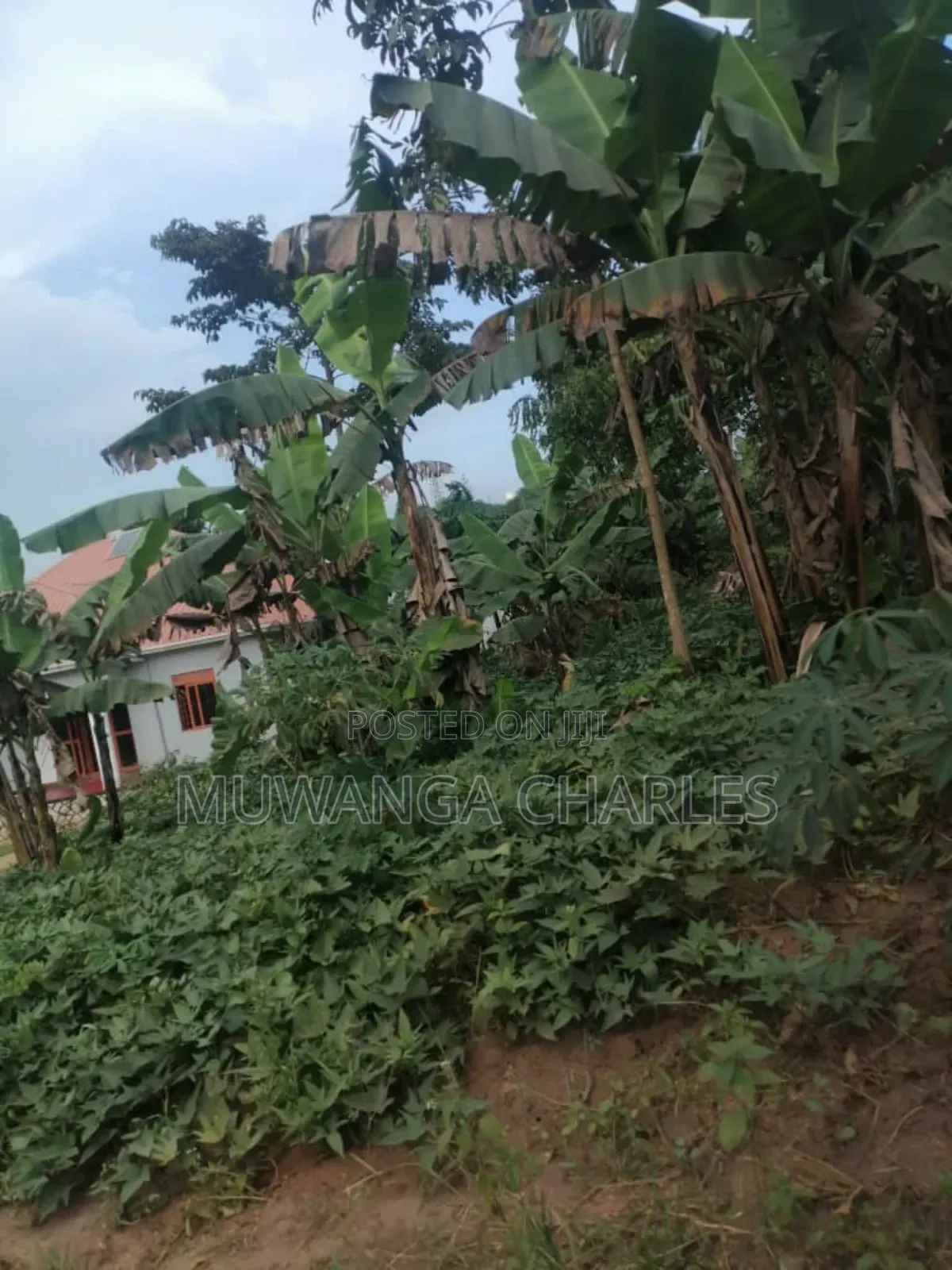 Plot for Sale in Gayaza in Division B