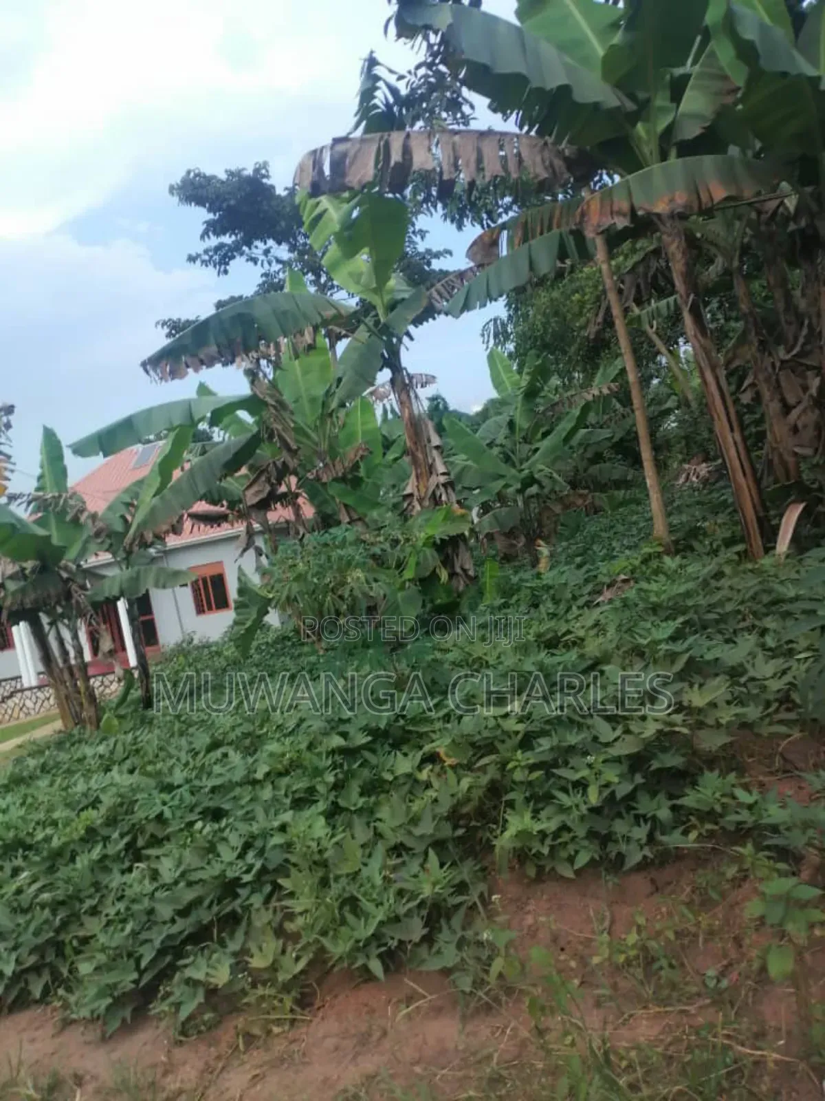 Plot for Sale in Gayaza in Division B