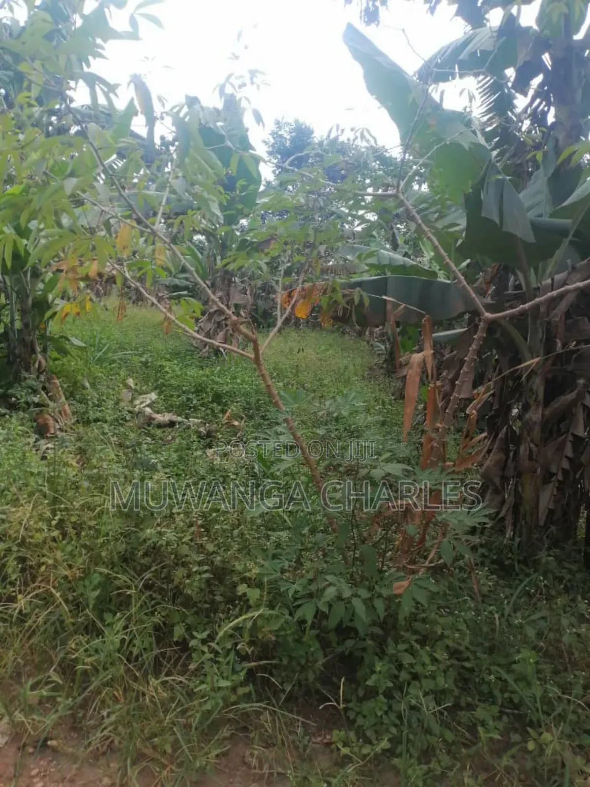 Plot for Sale in Gayaza in Division B