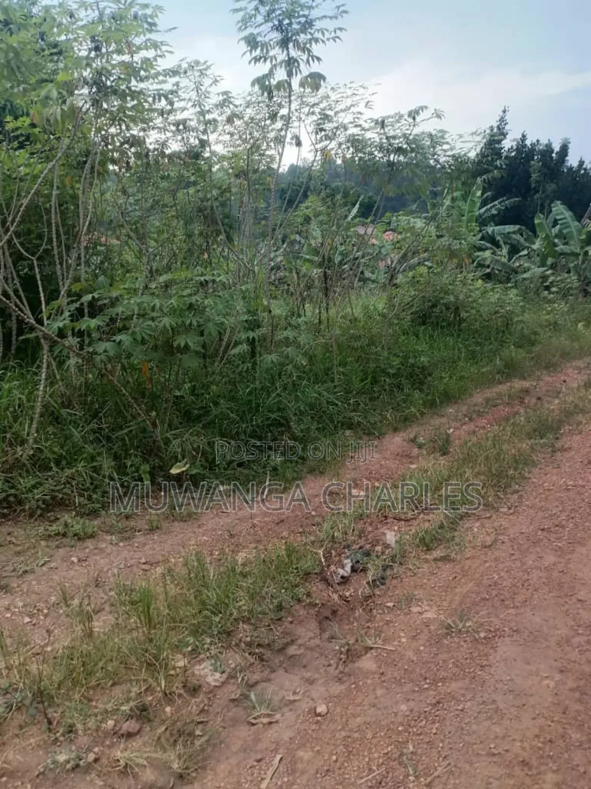 Plot for Sale in Gayaza in Division B