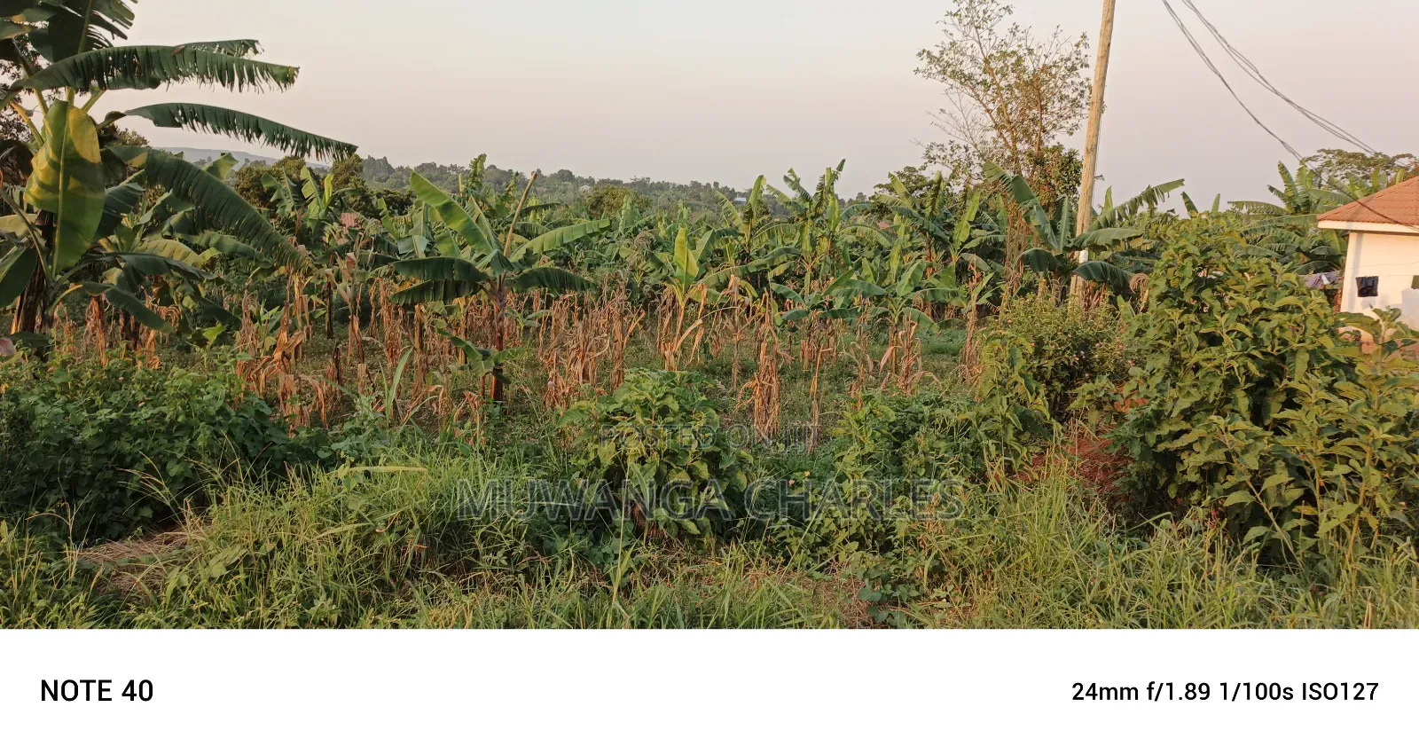 Plot for Sale Kiwenda in Division B