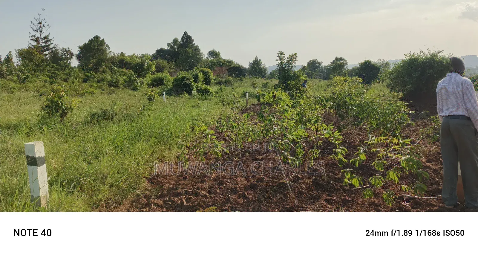 Plot for Sale in Gayaza Kiwenda in Division B
