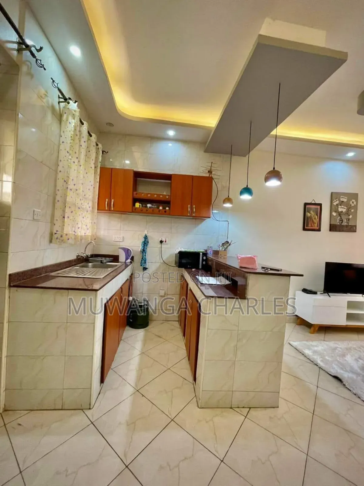 Furnished 1bdrm Apartment in Fs Properties Ltd, Nakawa for rent in Nakawa