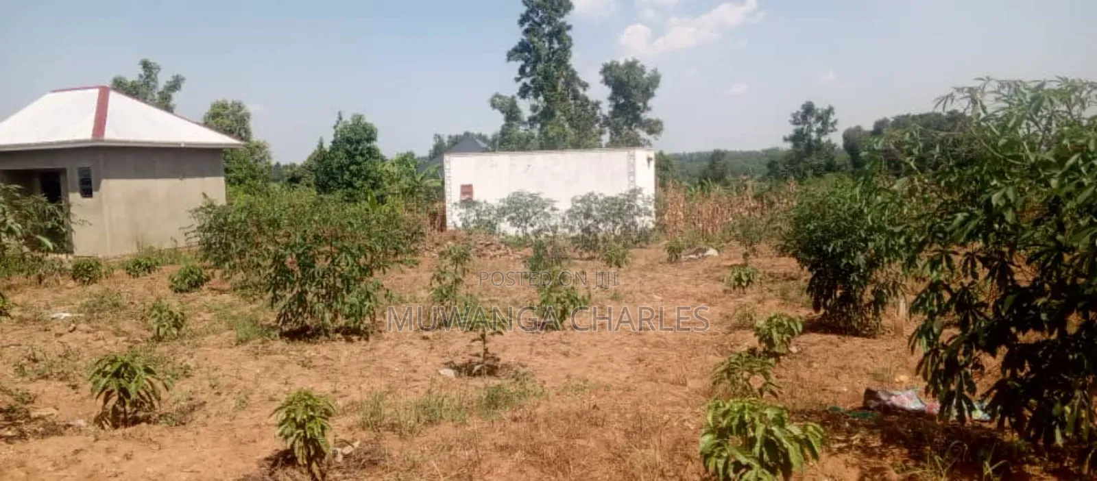 Plot's for Sale in Matuga Sanga in Wakiso / Wakiso