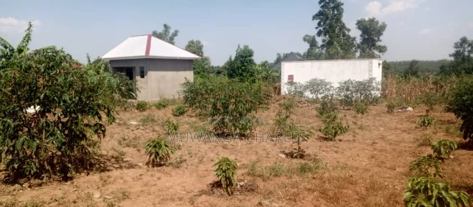 Plot's for Sale in Matuga Sanga in Wakiso / Wakiso