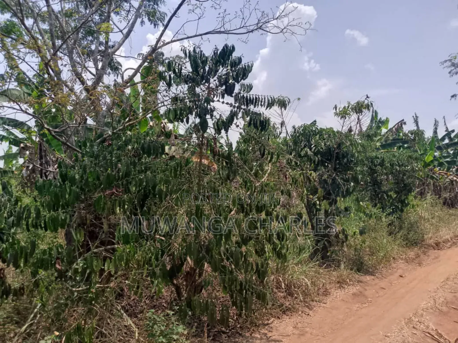 Plot for Sale in Gayaza Busiika in Luwero / Luwero