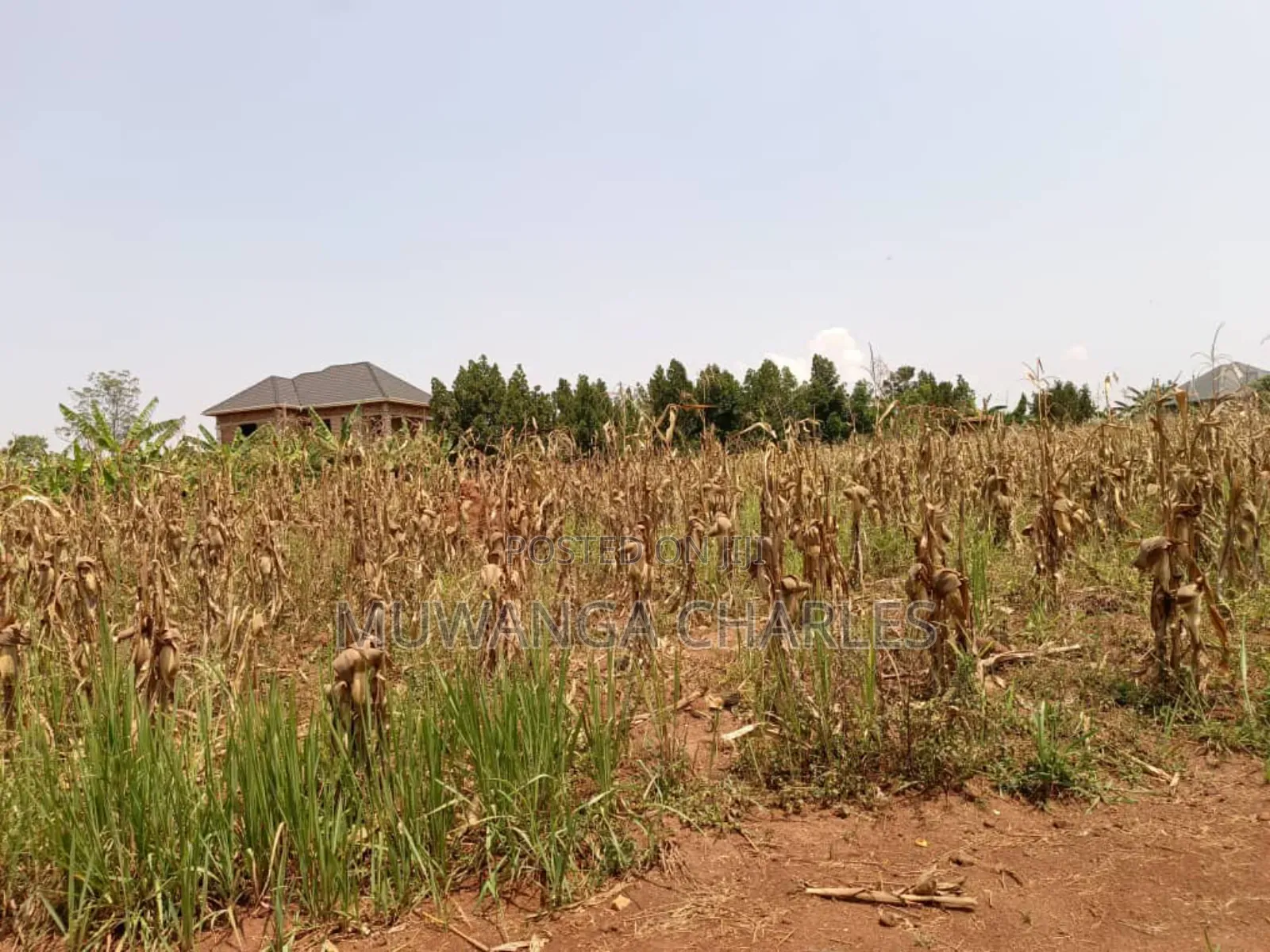Plot for Sale in Bugema in Central Division
