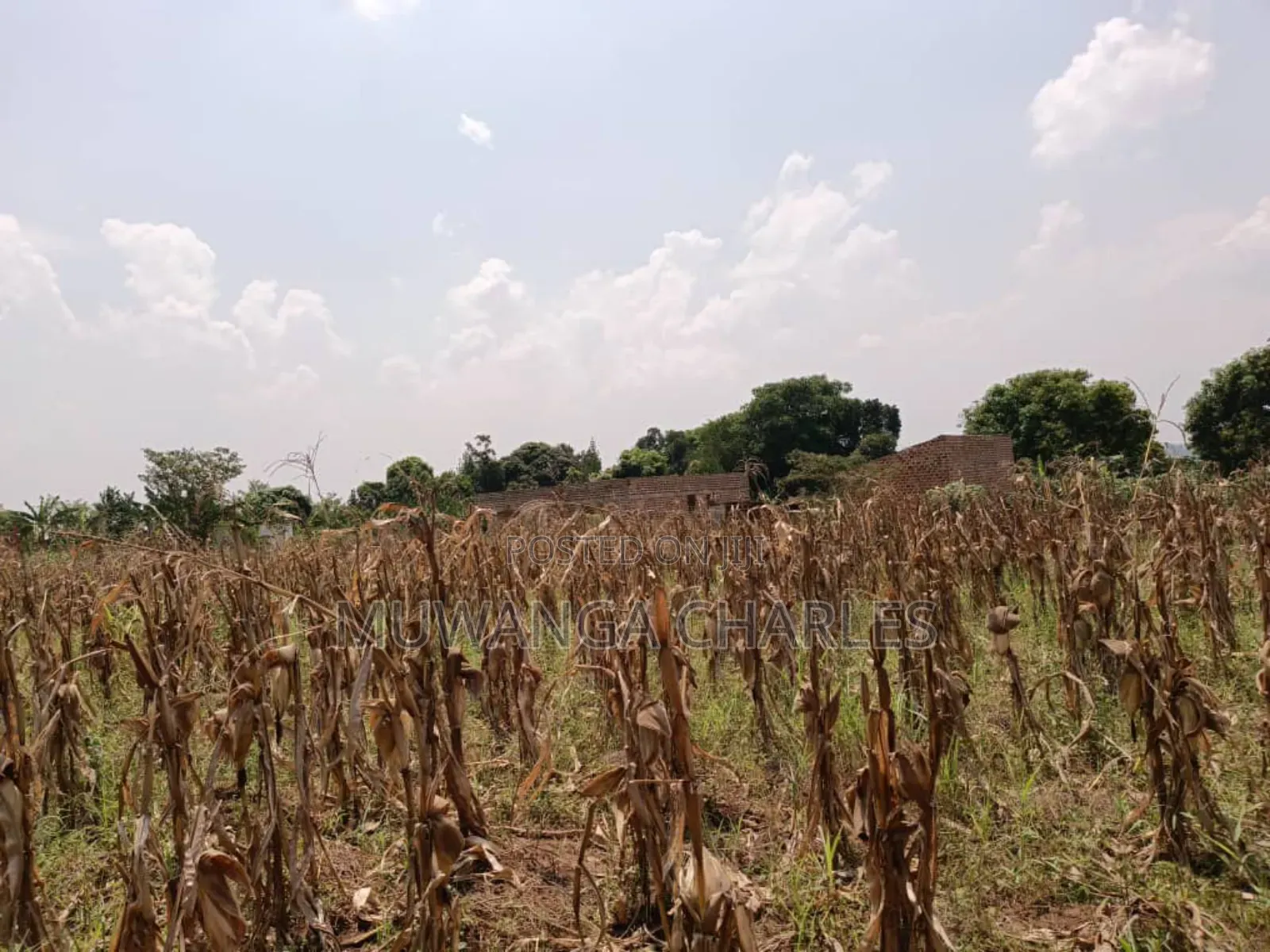 Plot for Sale in Bugema in Central Division
