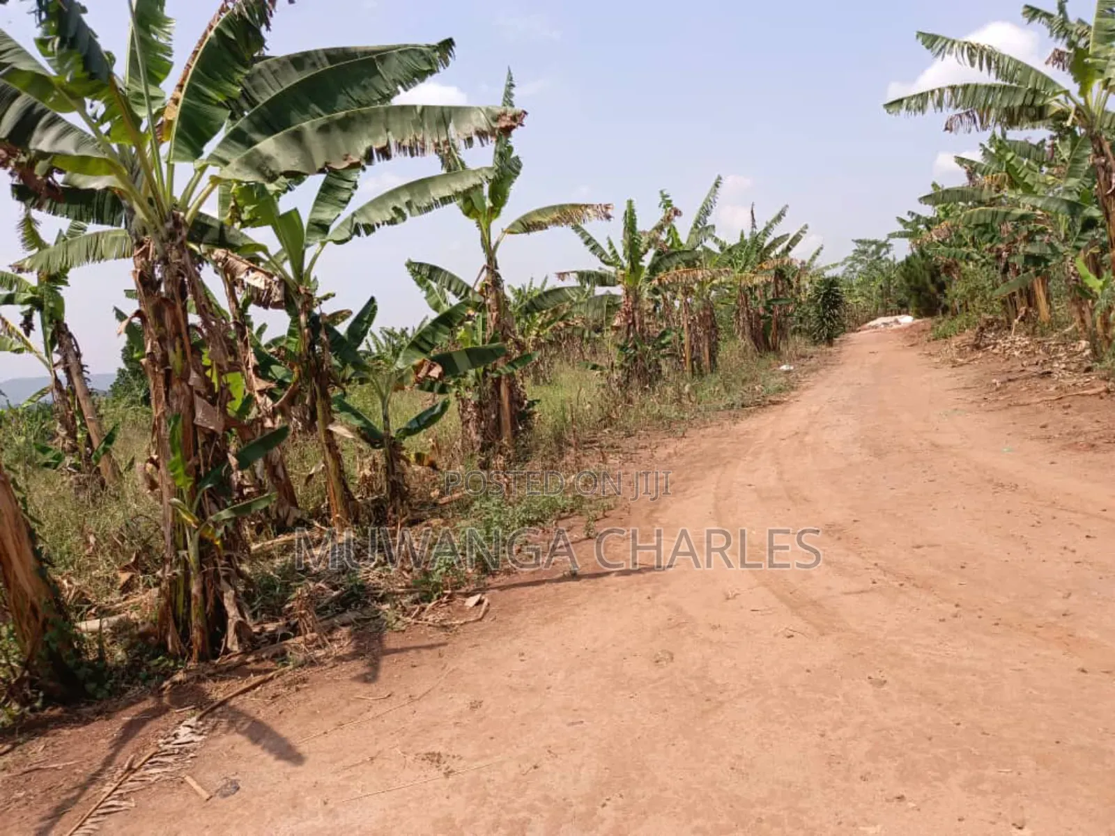Plot for Sale in Bugema in Central Division