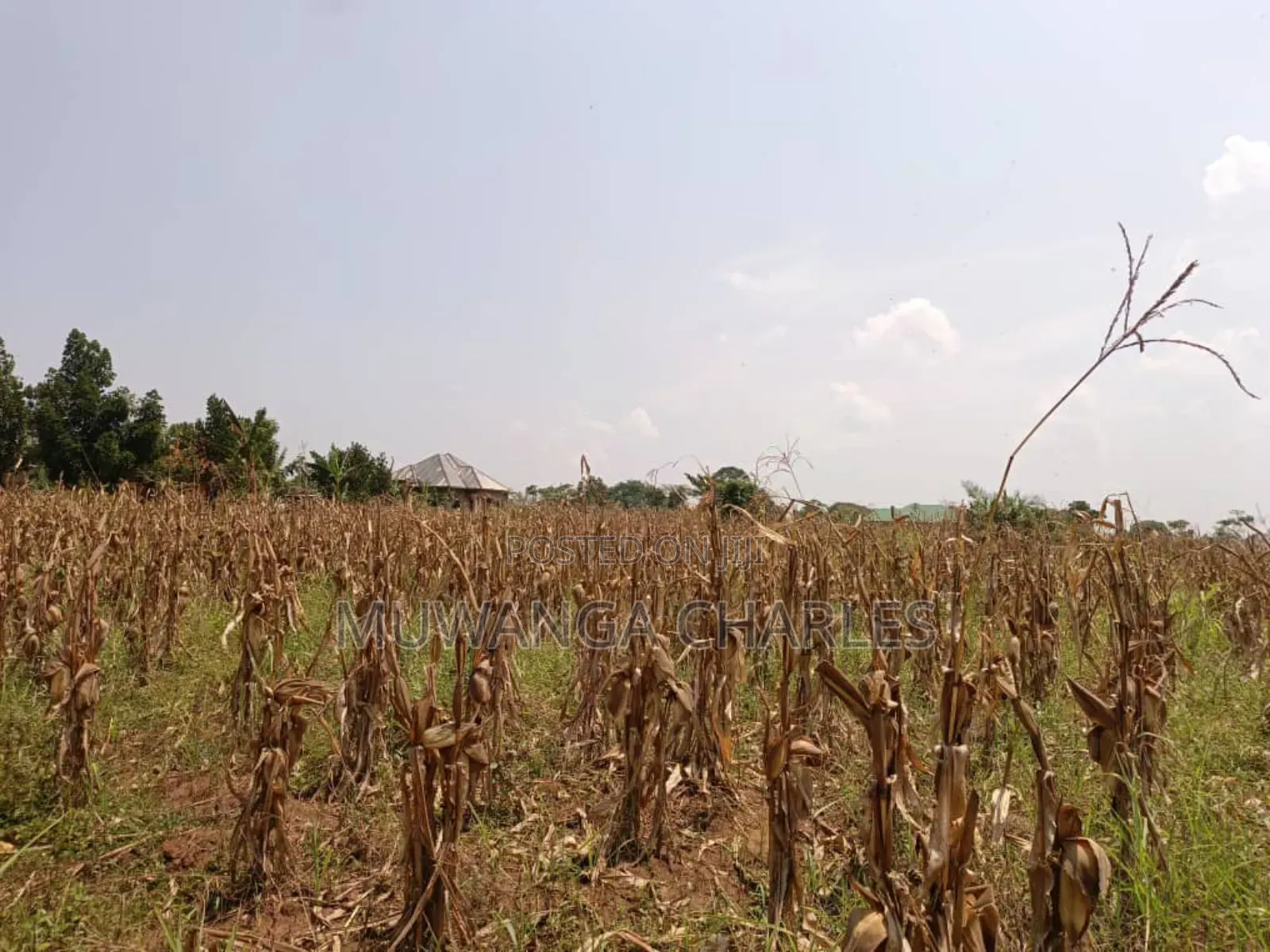 Plot for Sale in Bugema in Central Division