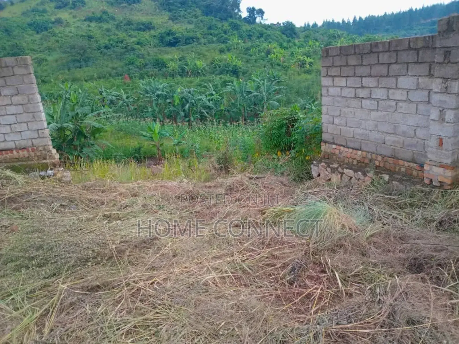 Mixed Use Land for Sale With Access to the Tarmac in Central Division