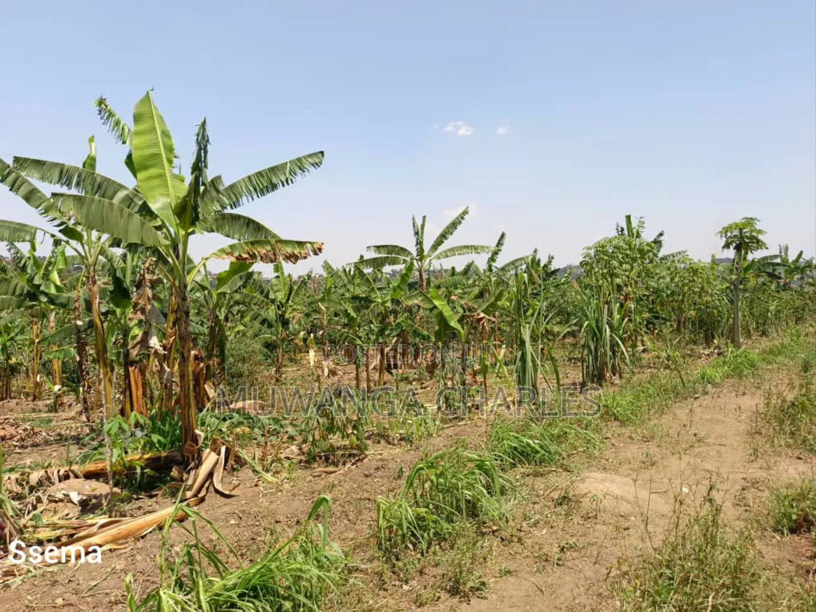 Plot for Sale in Gayaza Masoli in Division A