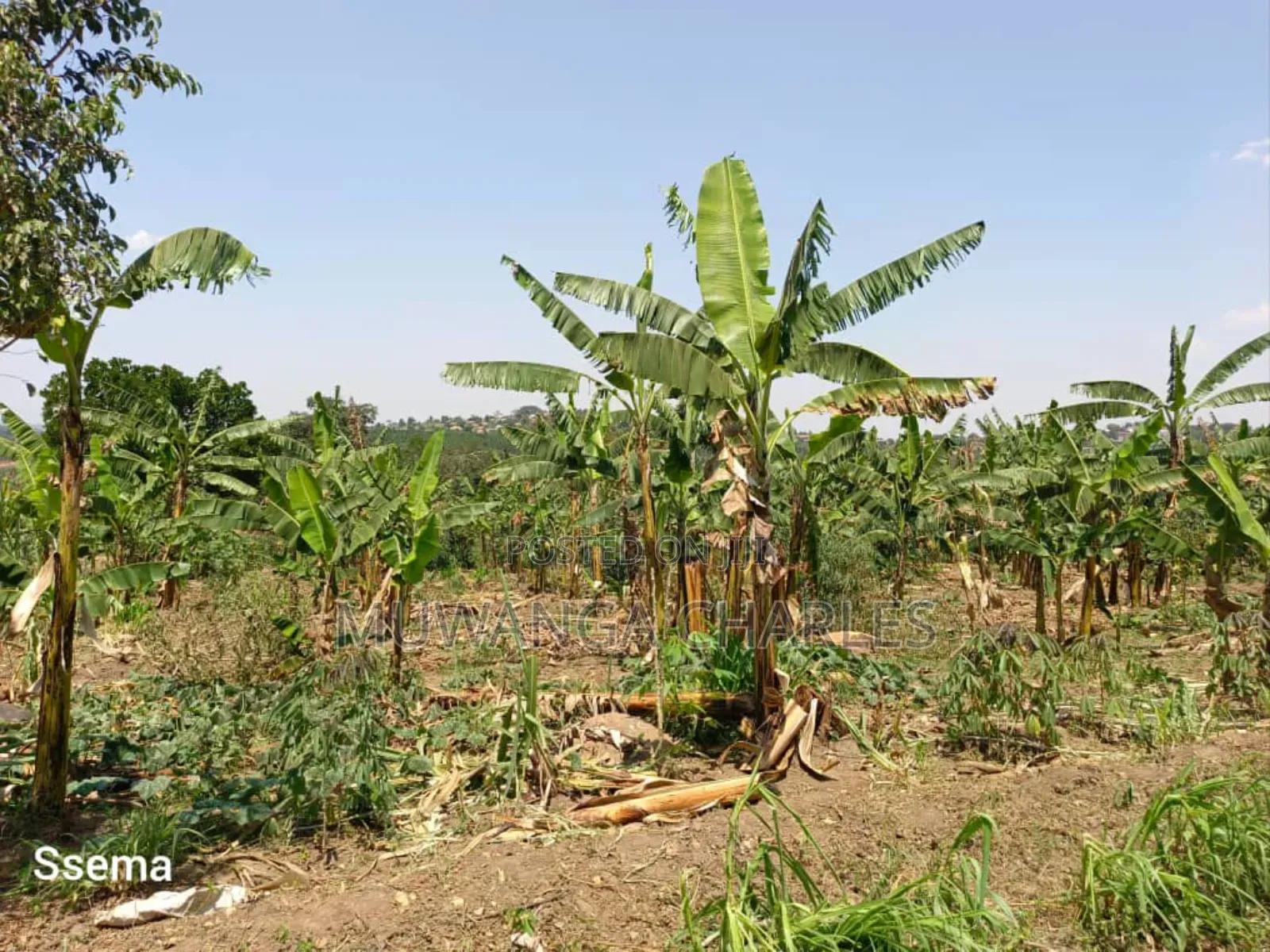Plot for Sale in Gayaza Masoli in Division A
