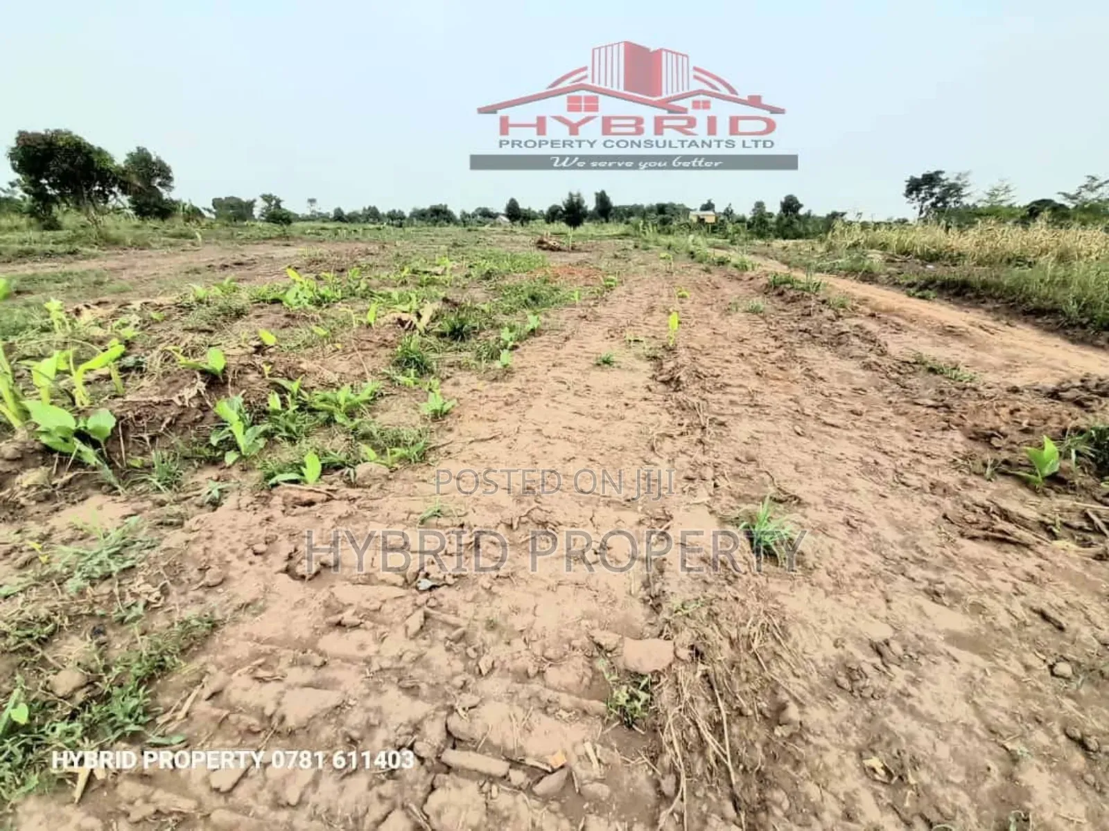 Prime Plots for at Kakiri~Kikugi Divine Land Estate~Hoima Rd in Kakiri