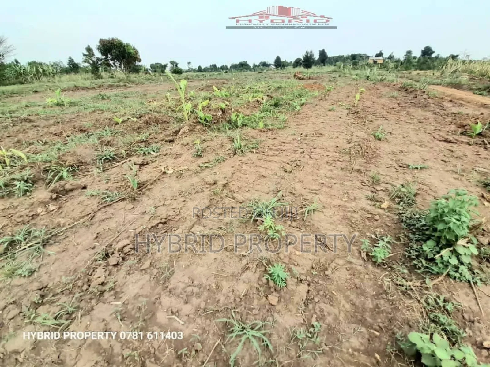 Prime Plots for at Kakiri~Kikugi Divine Land Estate~Hoima Rd in Kakiri