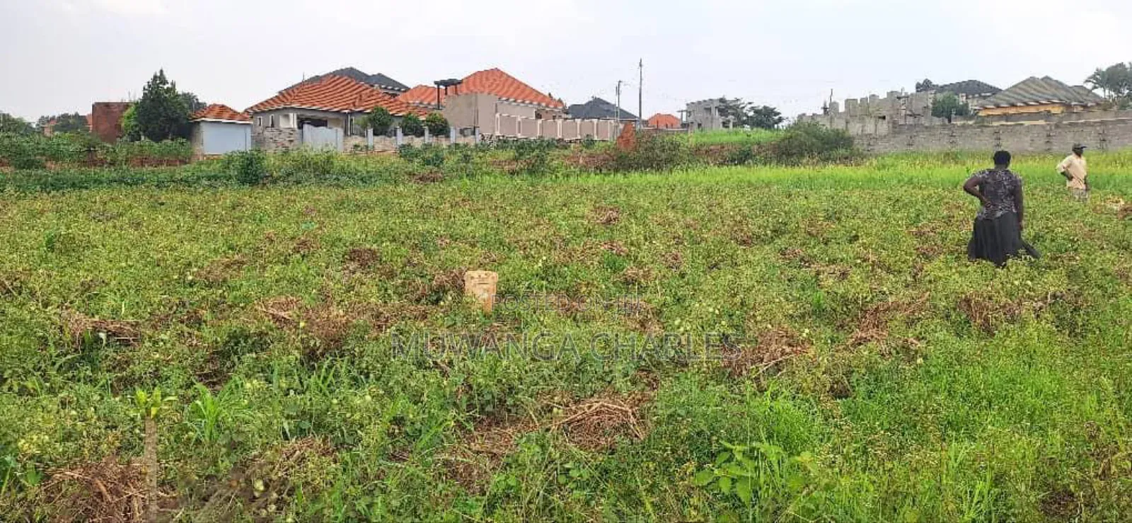 Plot for Sale in Gayaza Kabanyolo in Division A