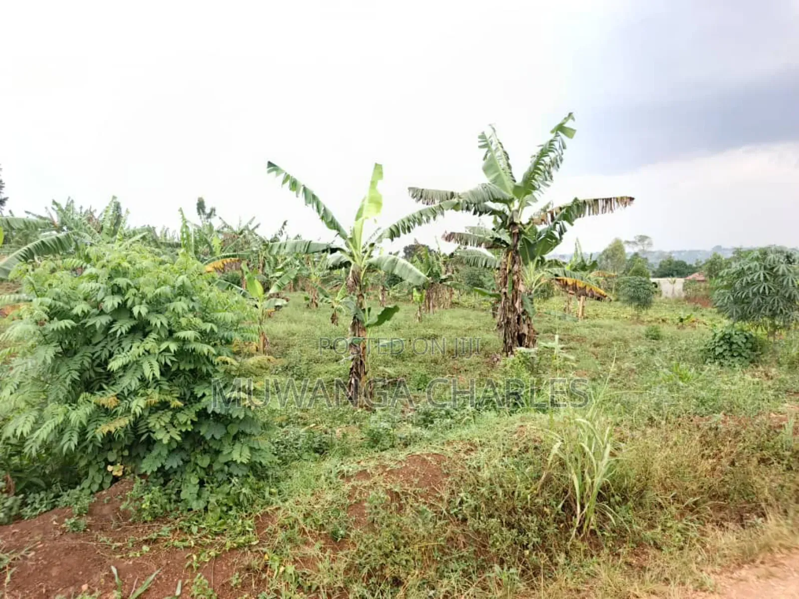 Plot for Sale in Gayaza Kabanyolo in Division A