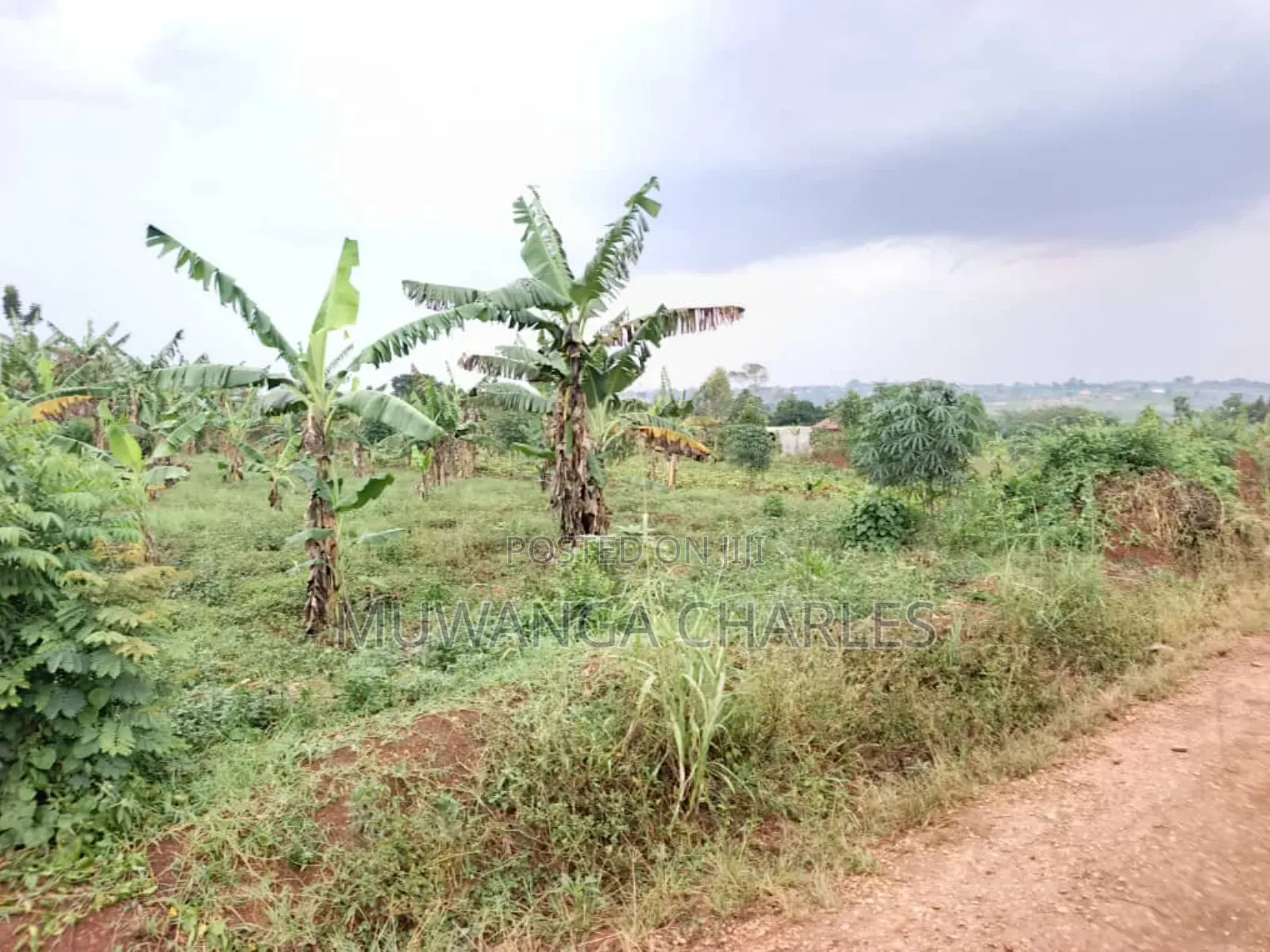 Plot for Sale in Gayaza Kabanyolo in Division A