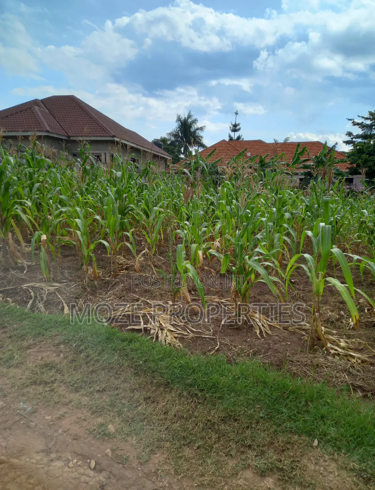 100by50 Plot for Sale in Namugongo Nabusugwe. in Central Division