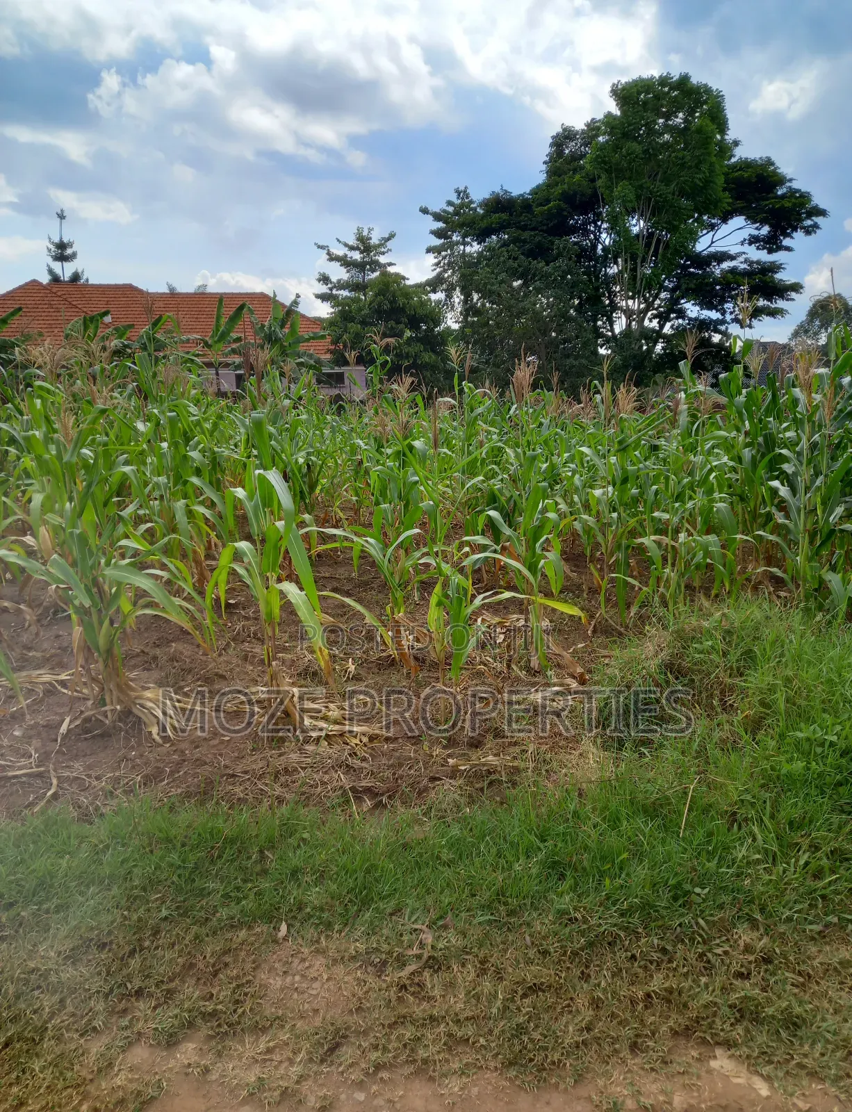 100by50 Plot for Sale in Namugongo Nabusugwe. in Central Division