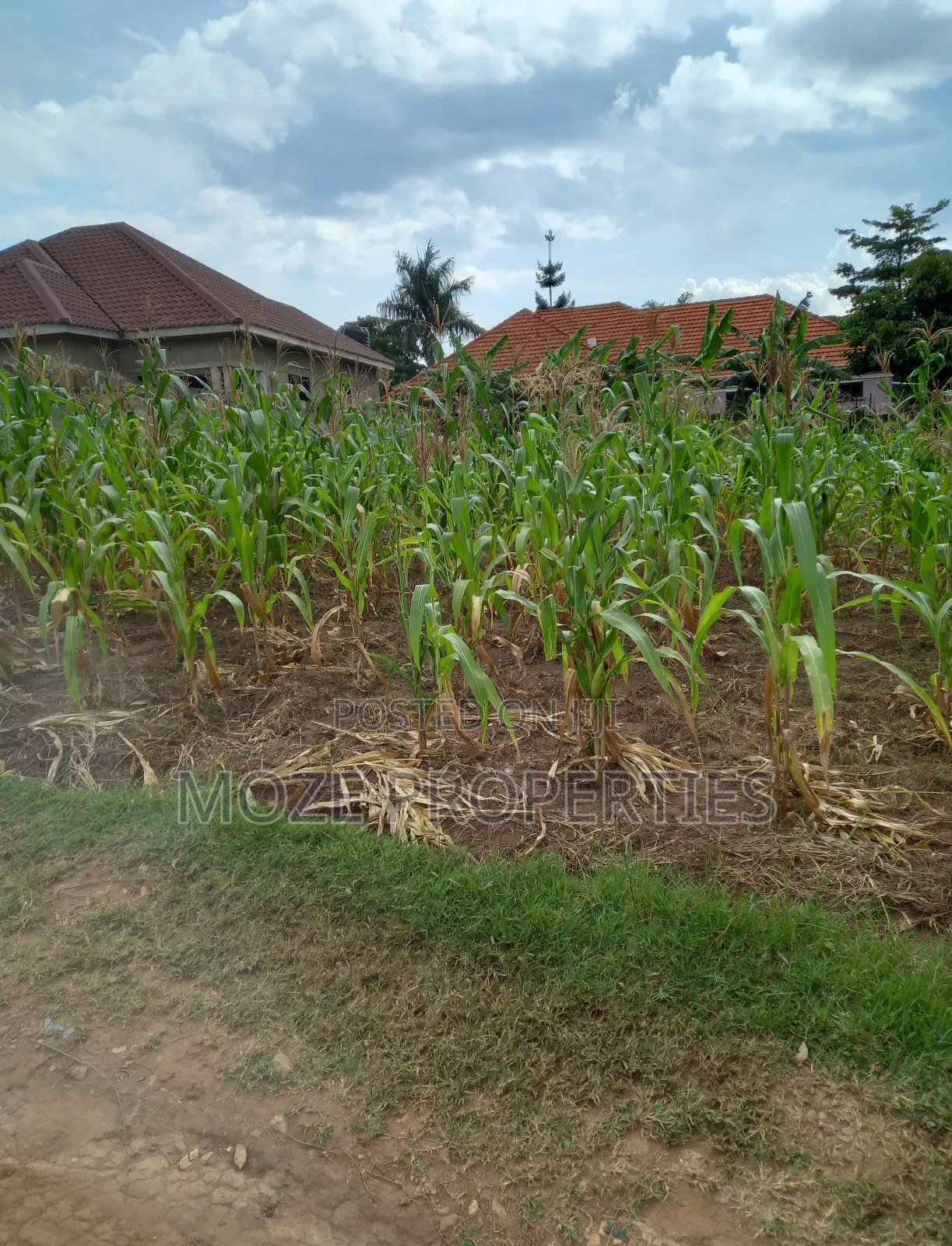 100by50 Plot for Sale in Namugongo Nabusugwe. in Central Division