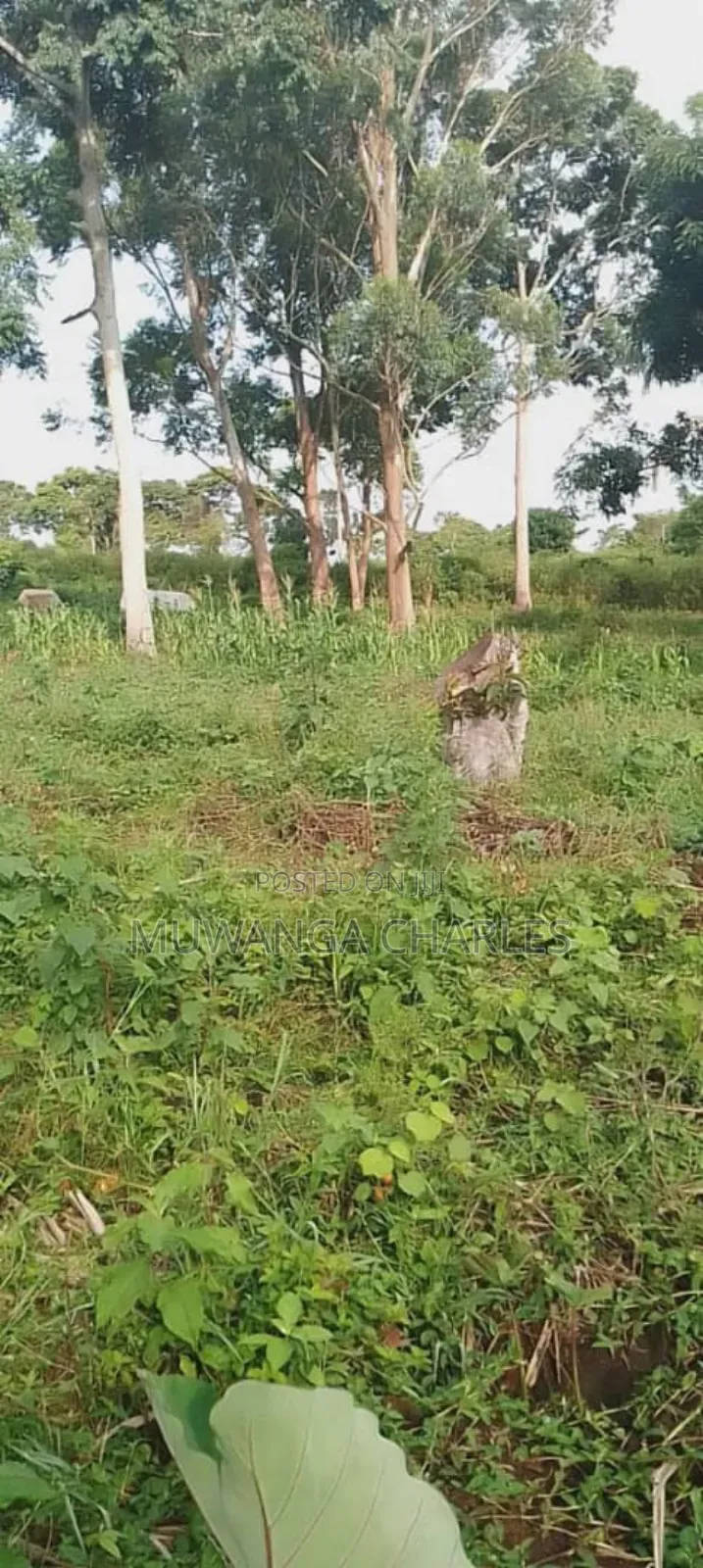 Plot for Sale in Bugema in Luwero TC