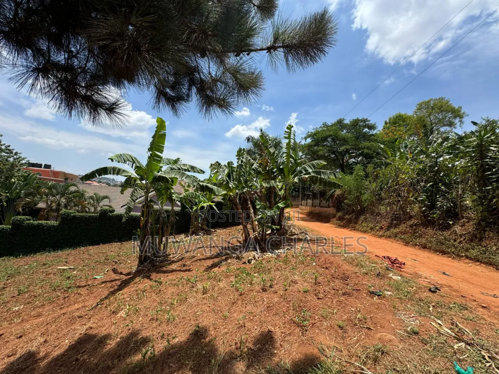 Plot for Sale in Bugema in Luwero TC