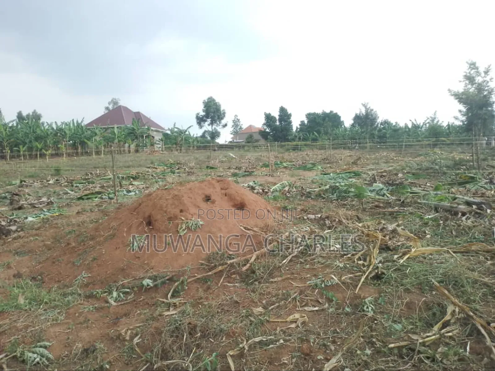 Plot for Sale in Bugema in Luwero TC