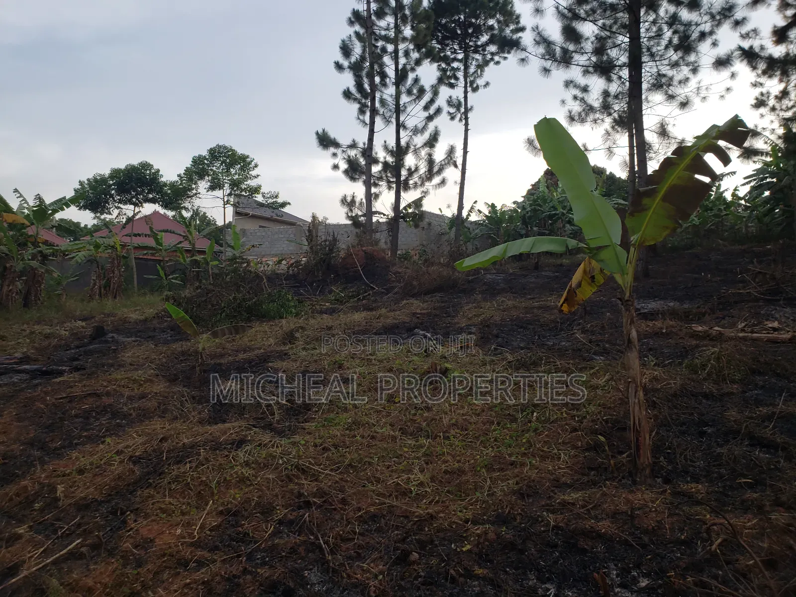Plot for Sell 100ft by 100ft Kitetika at 120m in Kawempe