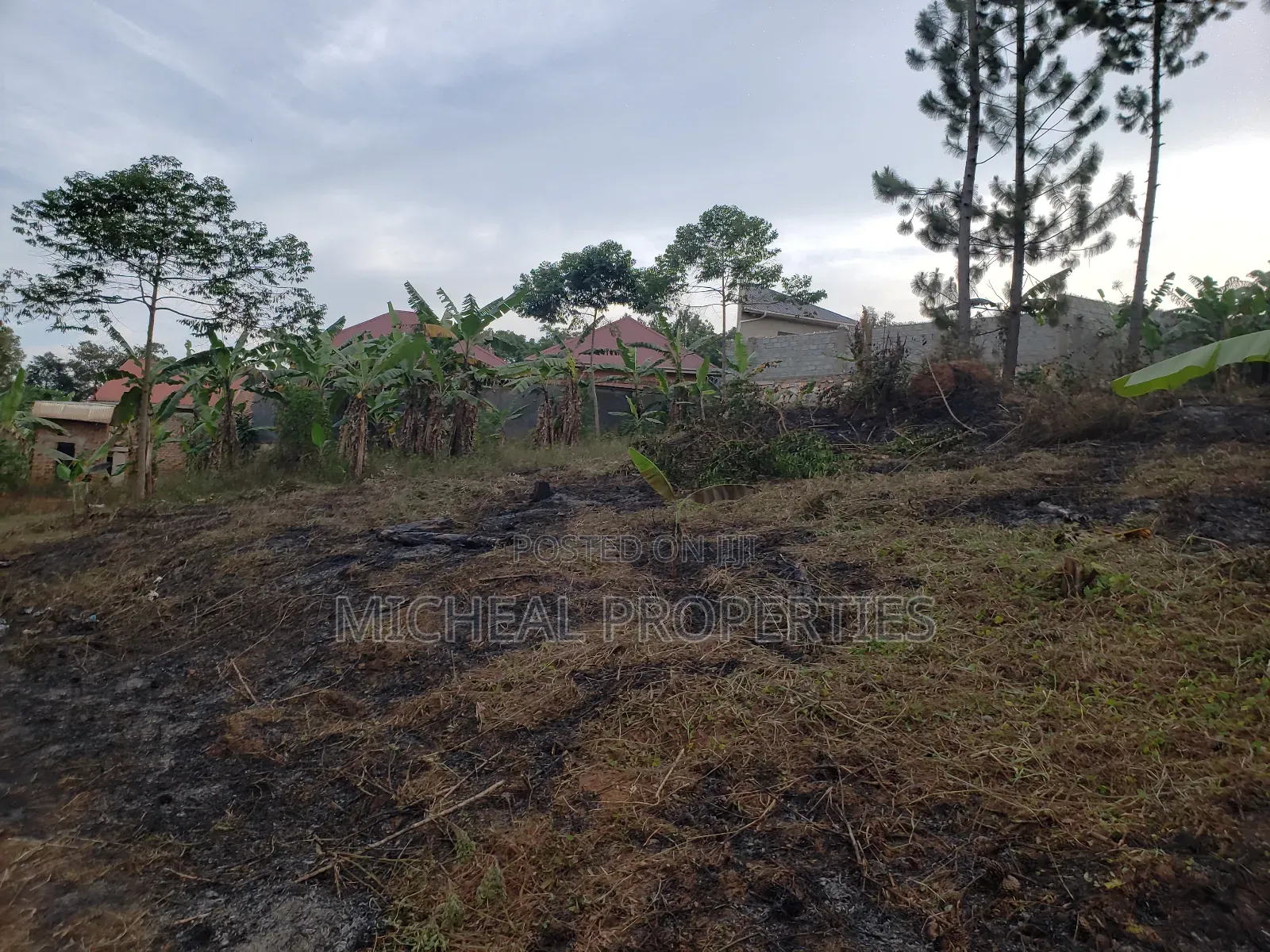 Plot for Sell 100ft by 100ft Kitetika at 120m in Kawempe