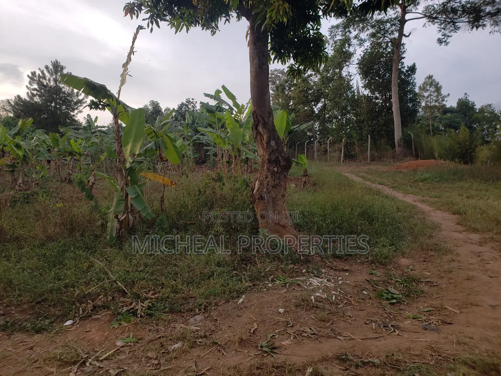 Plot for Sell 100ft by 100ft Kitetika at 120m in Kawempe