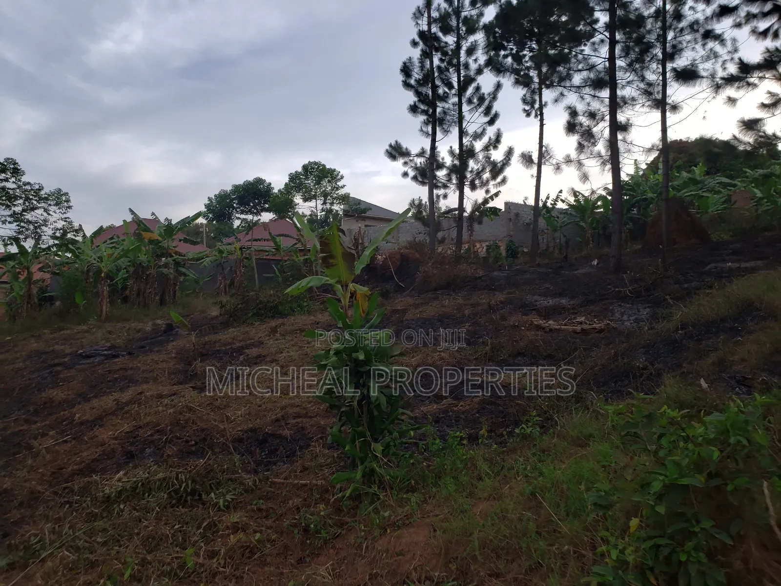 Plot for Sell 100ft by 100ft Kitetika at 120m in Kawempe