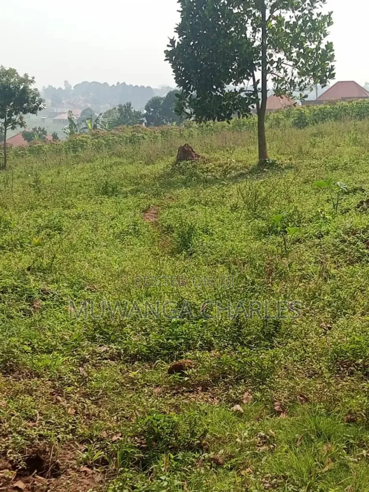 Land for Sale in Buwambo in Division B