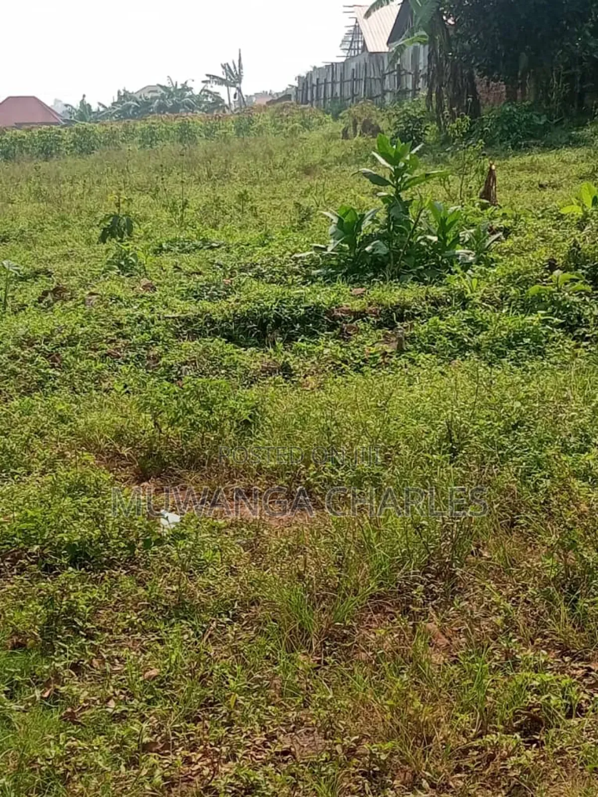 Land for Sale in Buwambo in Division B