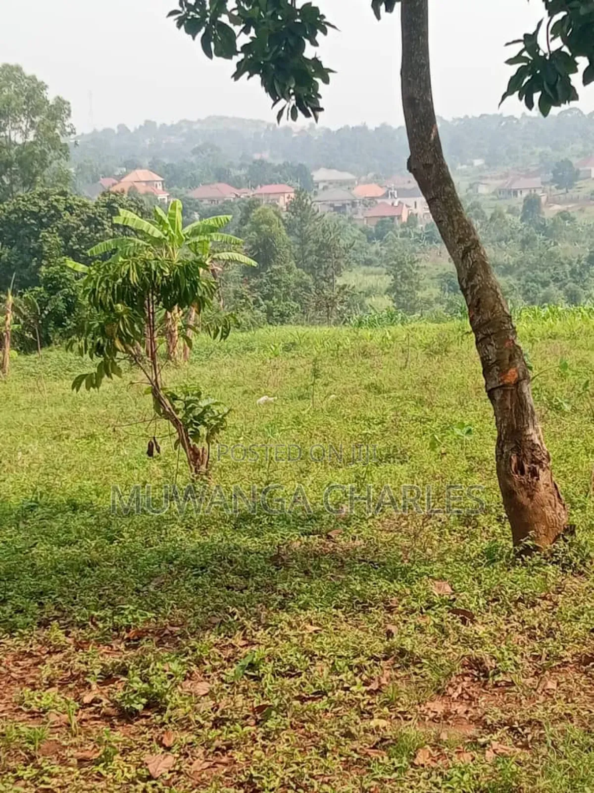Land for Sale in Buwambo in Division B
