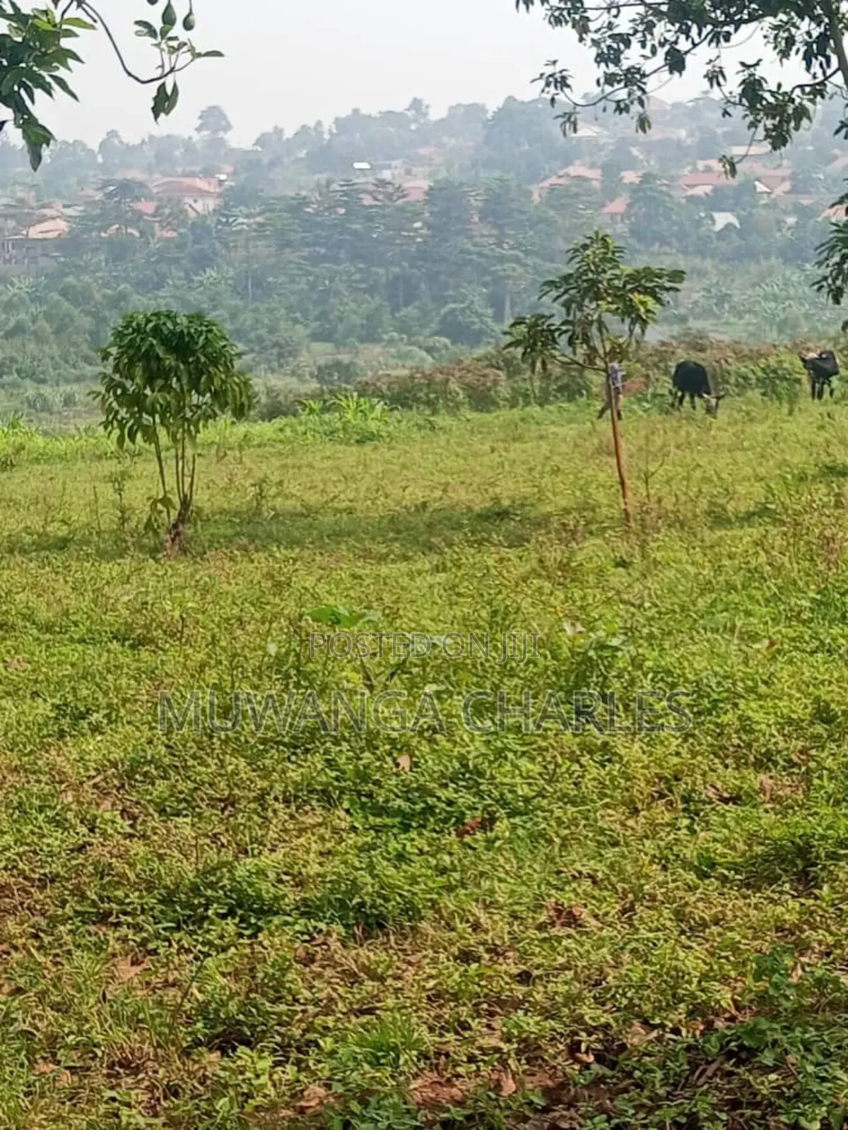 Land for Sale in Buwambo in Division B