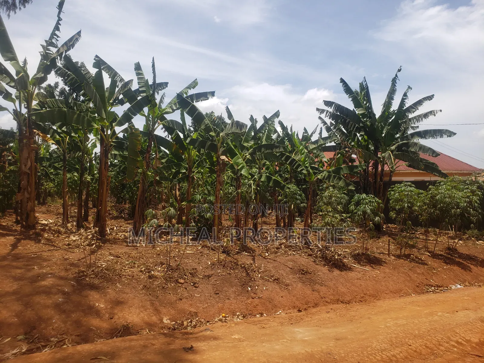Plot for Sell Mpelerwe Kitagobwa at 35m in Kawempe