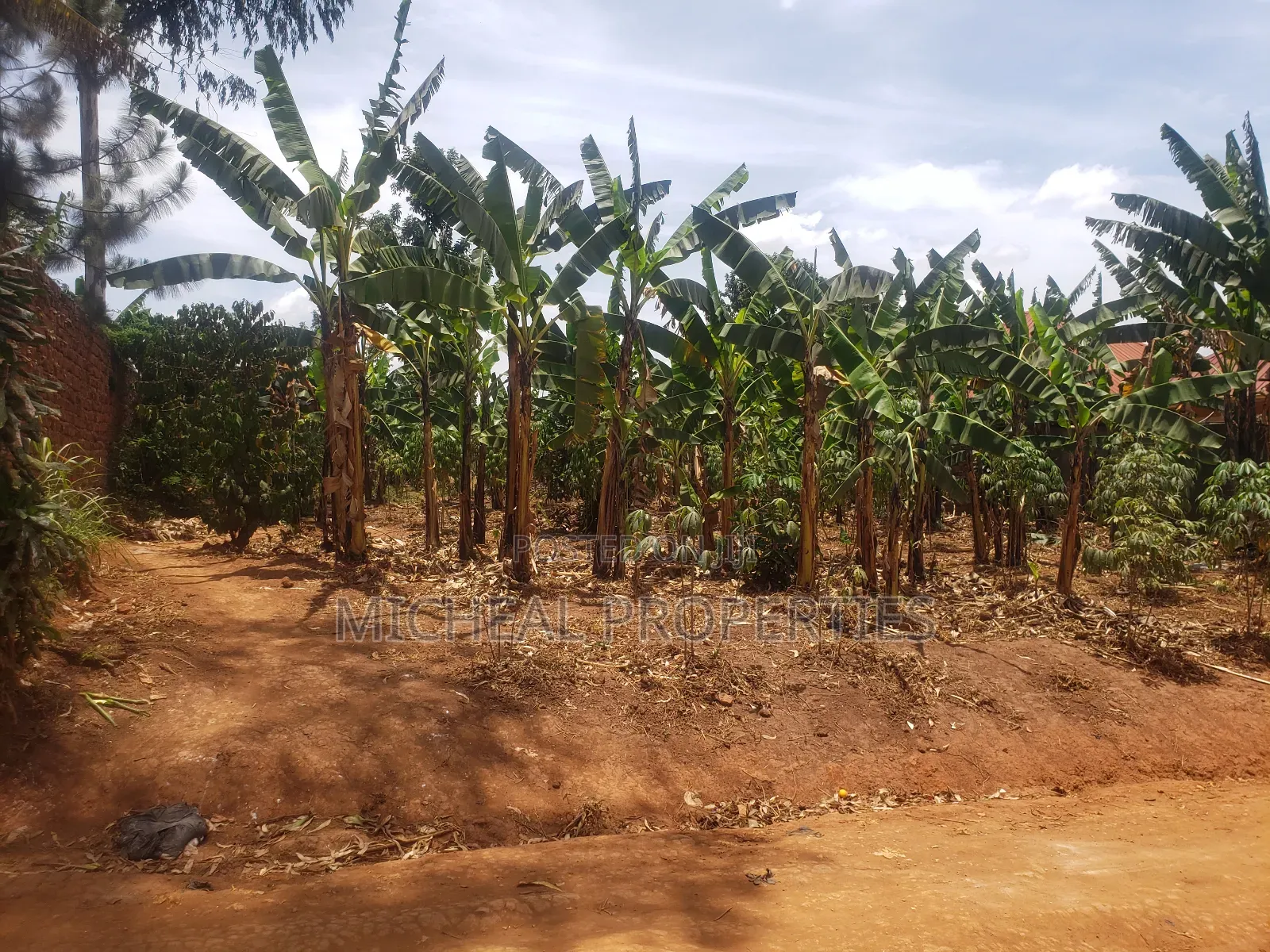 Plot for Sell Mpelerwe Kitagobwa at 35m in Kawempe