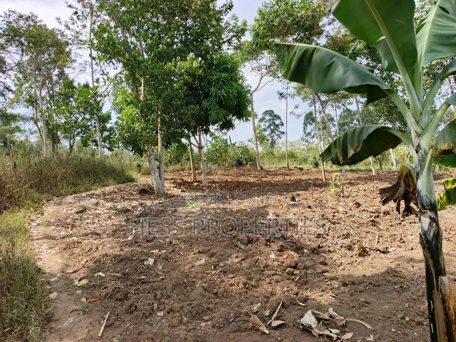 Residential Land Sale in Kyenjojo