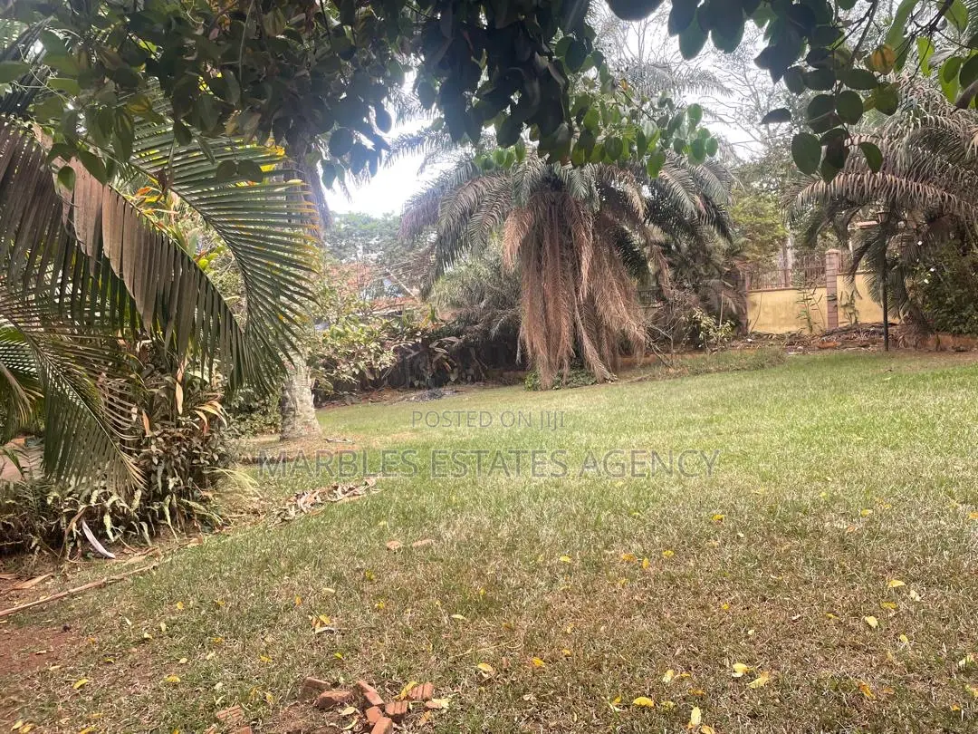 4bdrm House in Kololo, Central Division for rent in Central Division