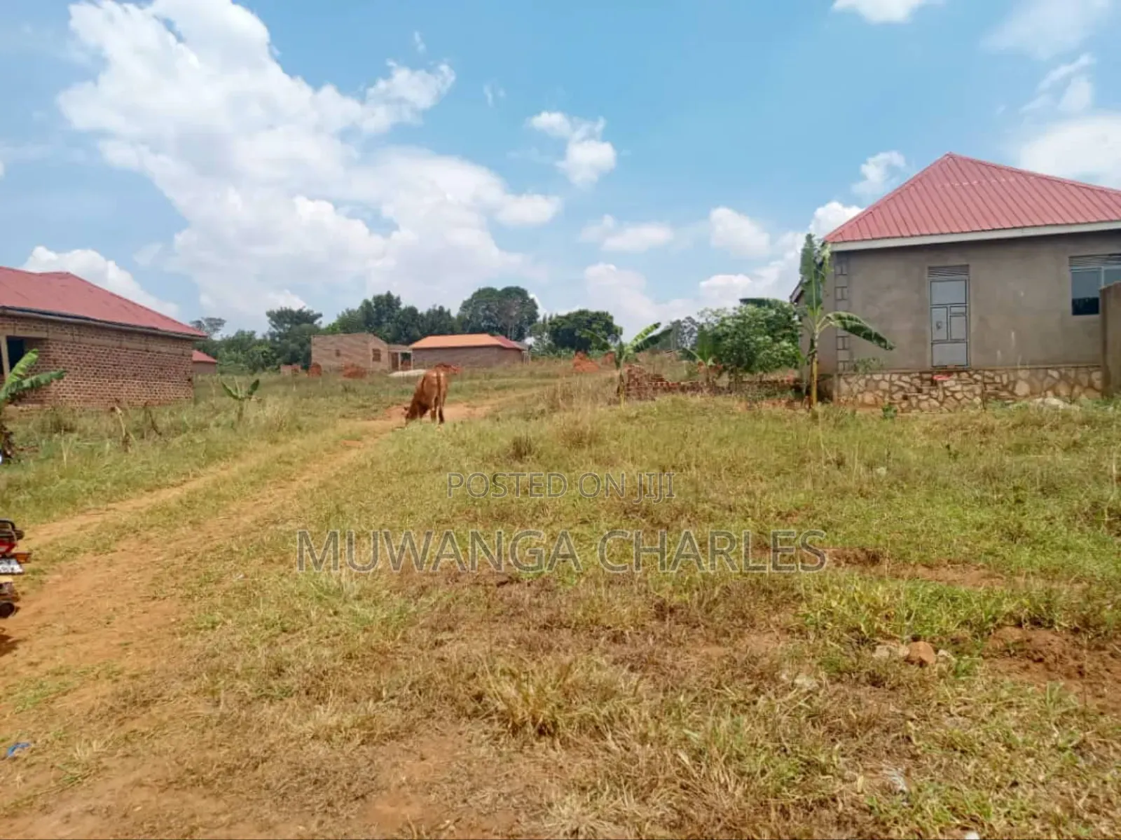 Plot's for Sale in Namulonge in Division B