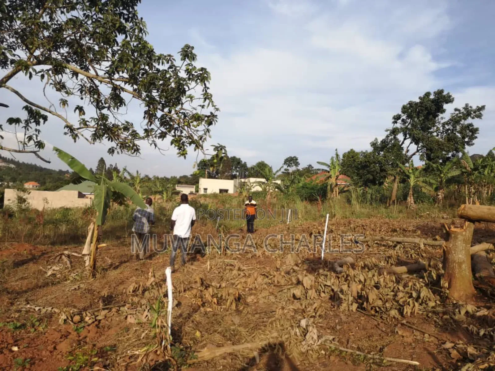 Plot's for Sale in Busika Near Town in Division B